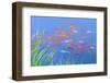 Koi Fishes in the Pond-kenny001-Framed Photographic Print