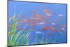 Koi Fishes in the Pond-kenny001-Mounted Photographic Print