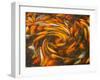 Koi in Circular Design and Pattern-Darrell Gulin-Framed Premium Photographic Print