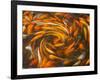 Koi in Circular Design and Pattern-Darrell Gulin-Framed Photographic Print