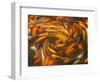 Koi in Circular Design and Pattern-Darrell Gulin-Framed Photographic Print