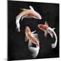 Koi on Black I-Tina Blakely-Mounted Art Print