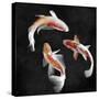 Koi on Black I-Tina Blakely-Stretched Canvas