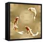 Koi on Gold II-Tina Blakely-Framed Stretched Canvas