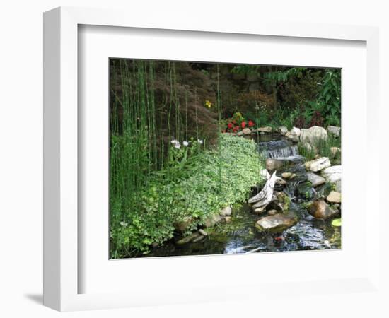 Koi Paradise-Herb Dickinson-Framed Photographic Print