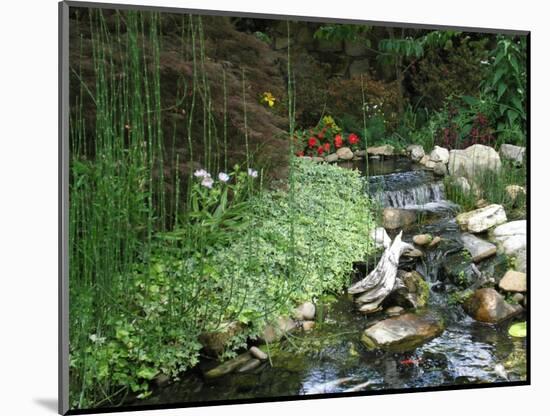 Koi Paradise-Herb Dickinson-Mounted Photographic Print