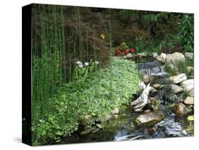 Koi Paradise-Herb Dickinson-Stretched Canvas