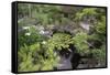 Koi Pond Garden-jamiehooper-Framed Stretched Canvas