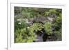 Koi Pond Garden-jamiehooper-Framed Photographic Print