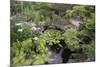 Koi Pond Garden-jamiehooper-Mounted Photographic Print