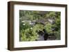 Koi Pond Garden-jamiehooper-Framed Photographic Print