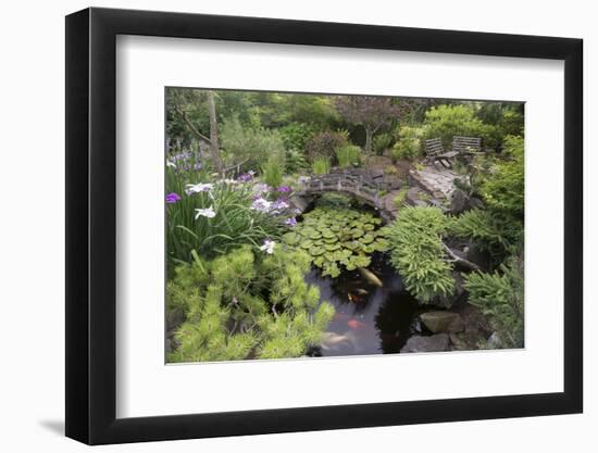 Koi Pond Garden-jamiehooper-Framed Photographic Print