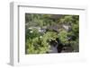 Koi Pond Garden-jamiehooper-Framed Photographic Print