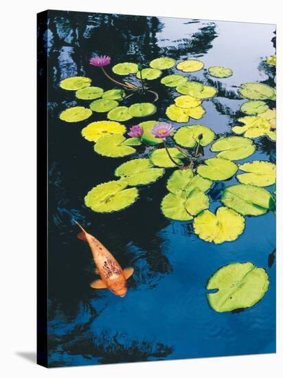 Koi Pond I-Maureen Love-Stretched Canvas