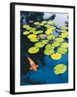 Koi Pond I-Maureen Love-Framed Photographic Print