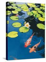 Koi Pond II-Maureen Love-Stretched Canvas