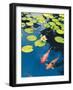 Koi Pond II-Maureen Love-Framed Photographic Print