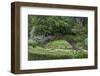 Koi Pond in Formal Garden-dbvirago-Framed Photographic Print