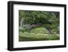 Koi Pond in Formal Garden-dbvirago-Framed Photographic Print