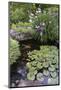 Koi Pond with Irises-jamiehooper-Mounted Photographic Print