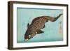 Koi, Pub.1842 (Colour Woodblock Print)-Keisai (1790-1848) Eisen-Framed Giclee Print