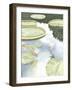 Koi Reflection I-Chariklia Zarris-Framed Art Print