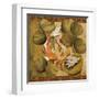 Koi Square II-Elizabeth Medley-Framed Art Print