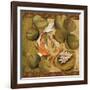 Koi Square II-Elizabeth Medley-Framed Art Print