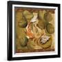 Koi Square II-Elizabeth Medley-Framed Art Print