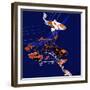 Koi-Anna Platts-Framed Giclee Print