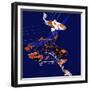 Koi-Anna Platts-Framed Giclee Print