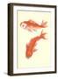 Koi-null-Framed Art Print