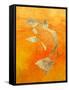 Koi-null-Framed Stretched Canvas