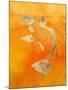 Koi-null-Mounted Giclee Print