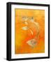 Koi-null-Framed Giclee Print