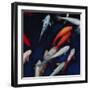 Koi-Dan Meneely-Framed Art Print