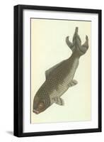 Koi-null-Framed Art Print