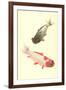 Koi-null-Framed Art Print