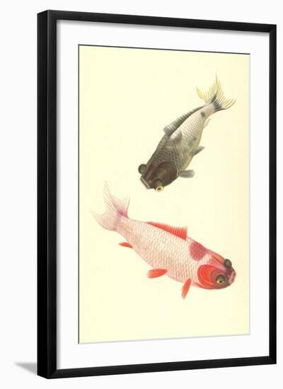 Koi-null-Framed Art Print