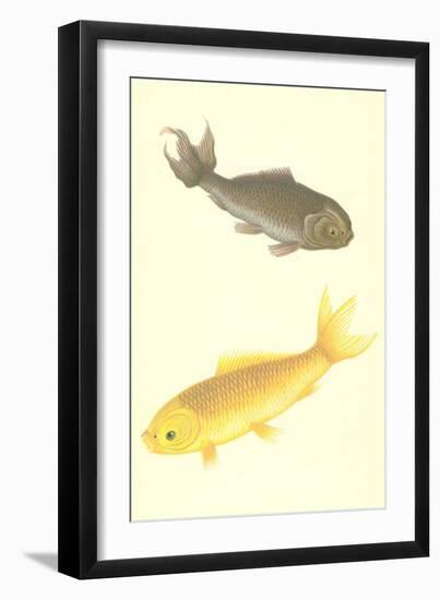 Koi-null-Framed Art Print