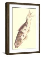 Koi-null-Framed Art Print