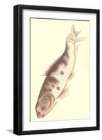 Koi-null-Framed Art Print