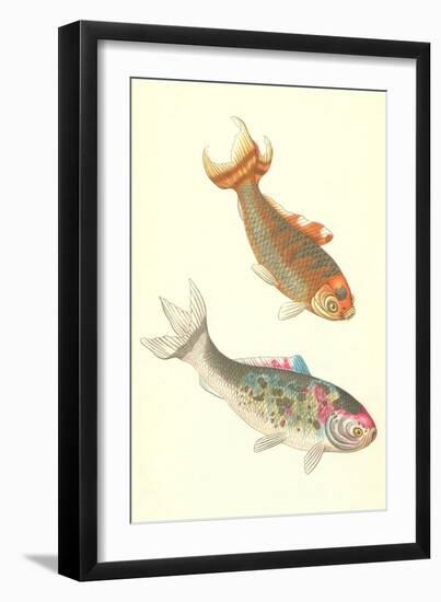 Koi-null-Framed Art Print