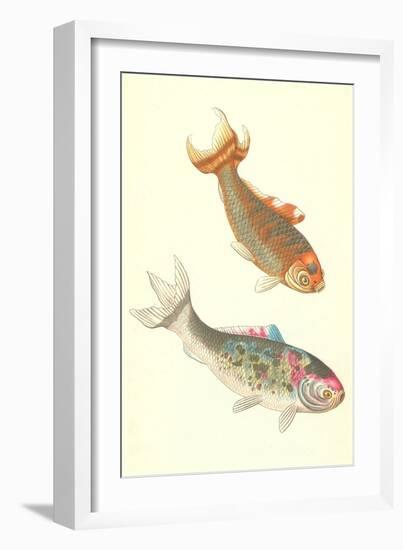 Koi-null-Framed Art Print