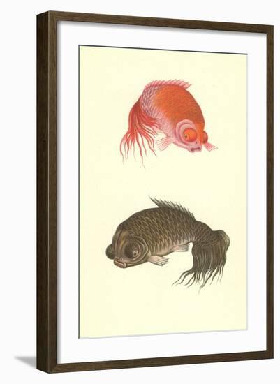 Koi-null-Framed Art Print