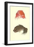 Koi-null-Framed Art Print