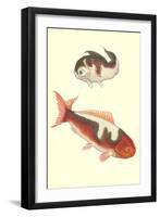 Koi-null-Framed Art Print