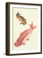 Koi-null-Framed Art Print