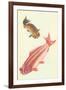 Koi-null-Framed Art Print