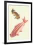 Koi-null-Framed Art Print